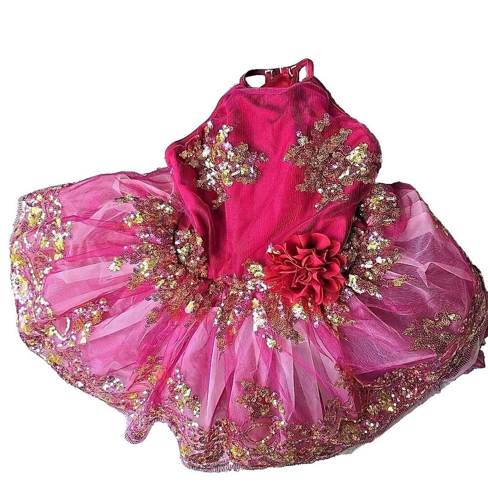 Ballet Dance Fairy Costume Revolution Fucia Maroon Large Child Gold Pink Sequens
